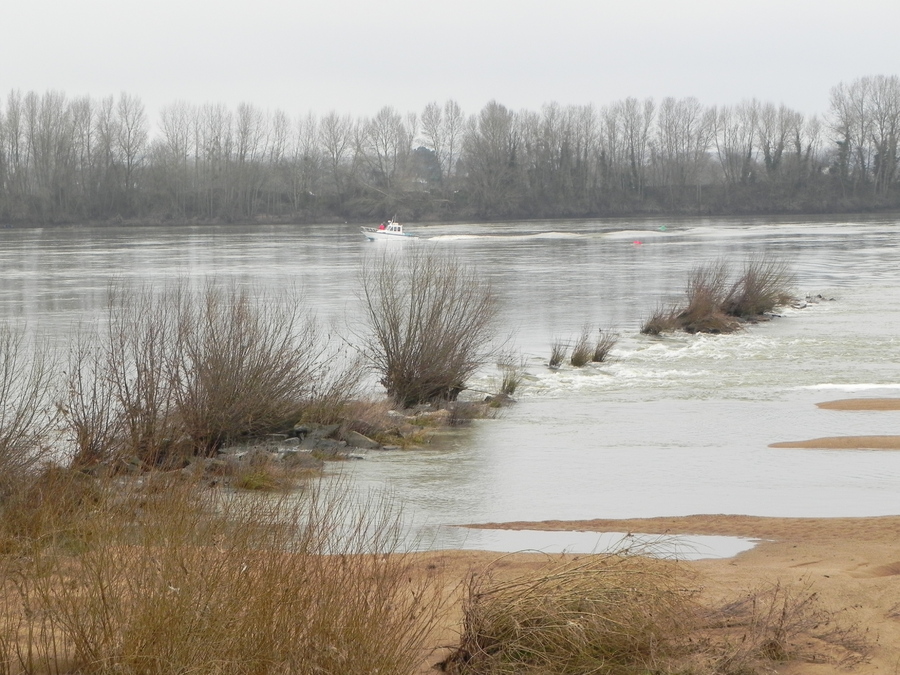 Mauves sur Loire  dept 44