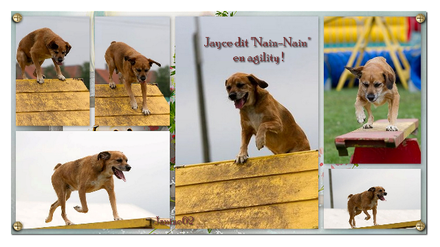 nainain nainain