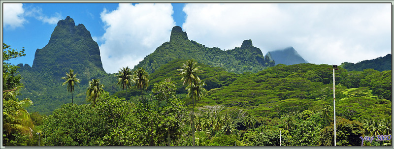 Panorama sur la montagne vu de Haapiti, avec le Mou'a Roa (880 m) - Moorea - Polynésie française