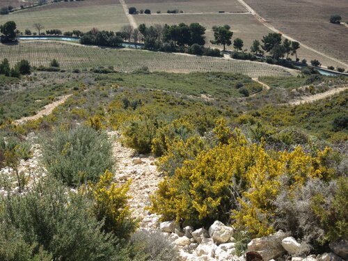 Printemps entre Alpilles et Luberon