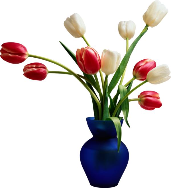 Fleurs en Vase