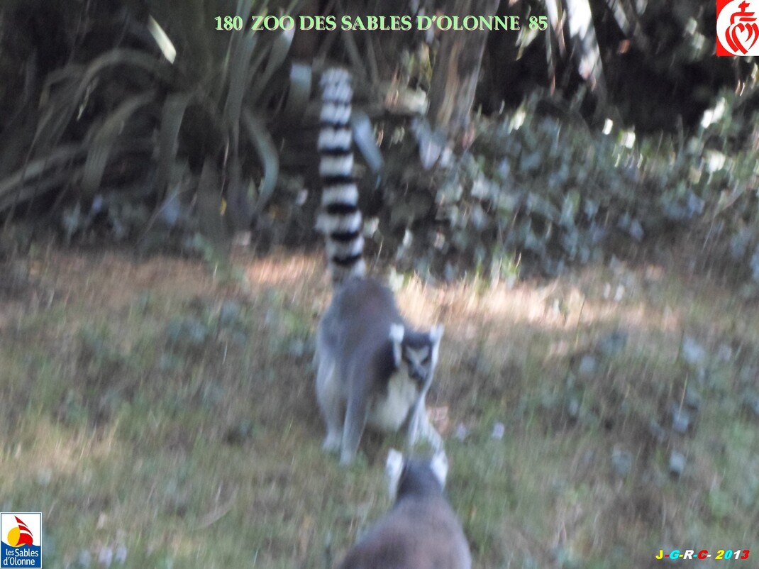 ZOO DES SABLES D'OLONNE  2/9   17/03/2014