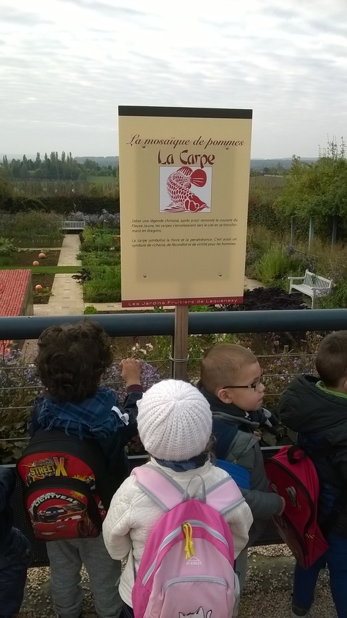 Sortie aux jardins fruitiers de Laquenexy