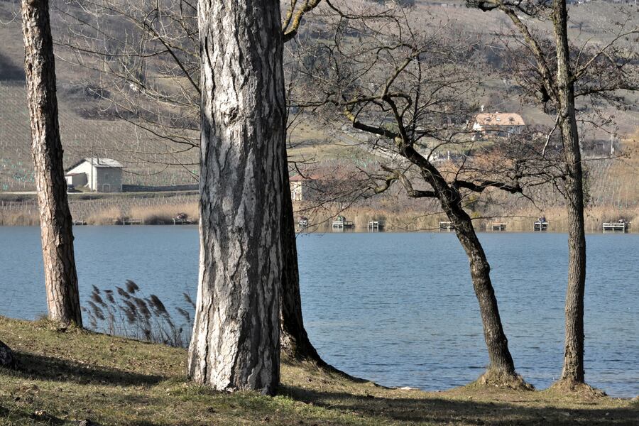 2019.02.24 Lacs de Aiguebelette et de St-André (département Savoie)2