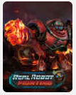 Affiche du jeu « Real Robot Fighting »