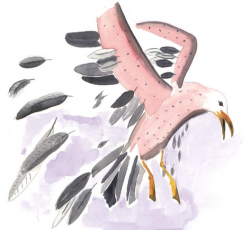 Lizie et la carapace multicolore suite