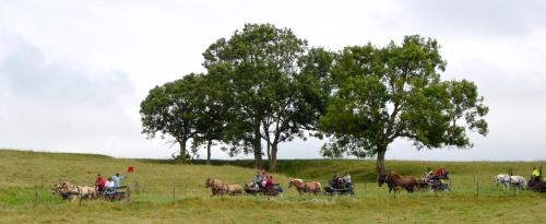 15 Juillet - Témoignage - La seconde 1/2 étape - Quiberville => Veules