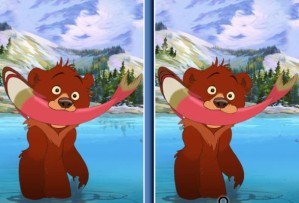 Brother bear - Spot the difference