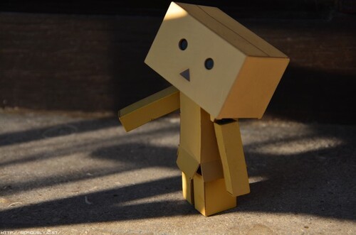 Danbo : ?? #01-05