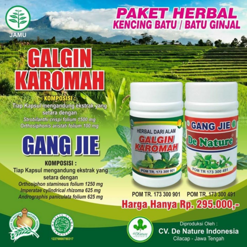 Solusi Pengobatan Batu Ginjal