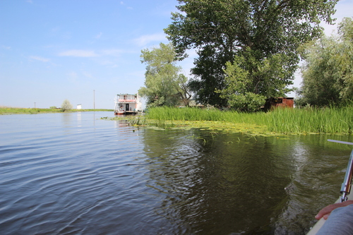 Dans le delta du Danube 2