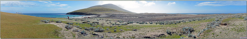 Vue panoramique sur Mount Harston (433 m) entre la plage sud (gauche) et celle du nord (droite) - The Neck (Le Cou) - Saunders Island - Falkland (Malvinas, Malouines) - Grande-Bretagne