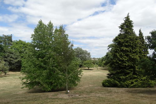 Les jardins de Coursiana