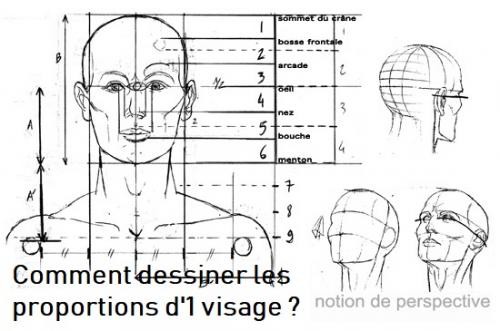 Dessin et peinture - vidéo 2895 : Quelles sont les proportions d'une tête et d'une face d'adulte 3/3 ? - le canon idéal en dessin .