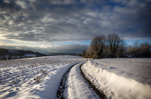 paysage, neige, hiver, hivernal