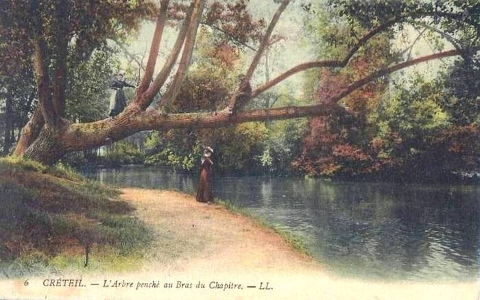 Créteil. L'Arbre Penché au Bras du Chapitre