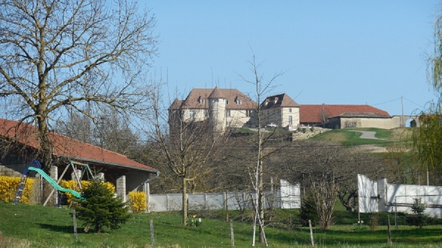 Promenade au Château de Quinsonnas (38)