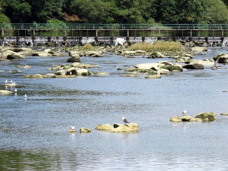 la voie verte du Blavet à Pontivy