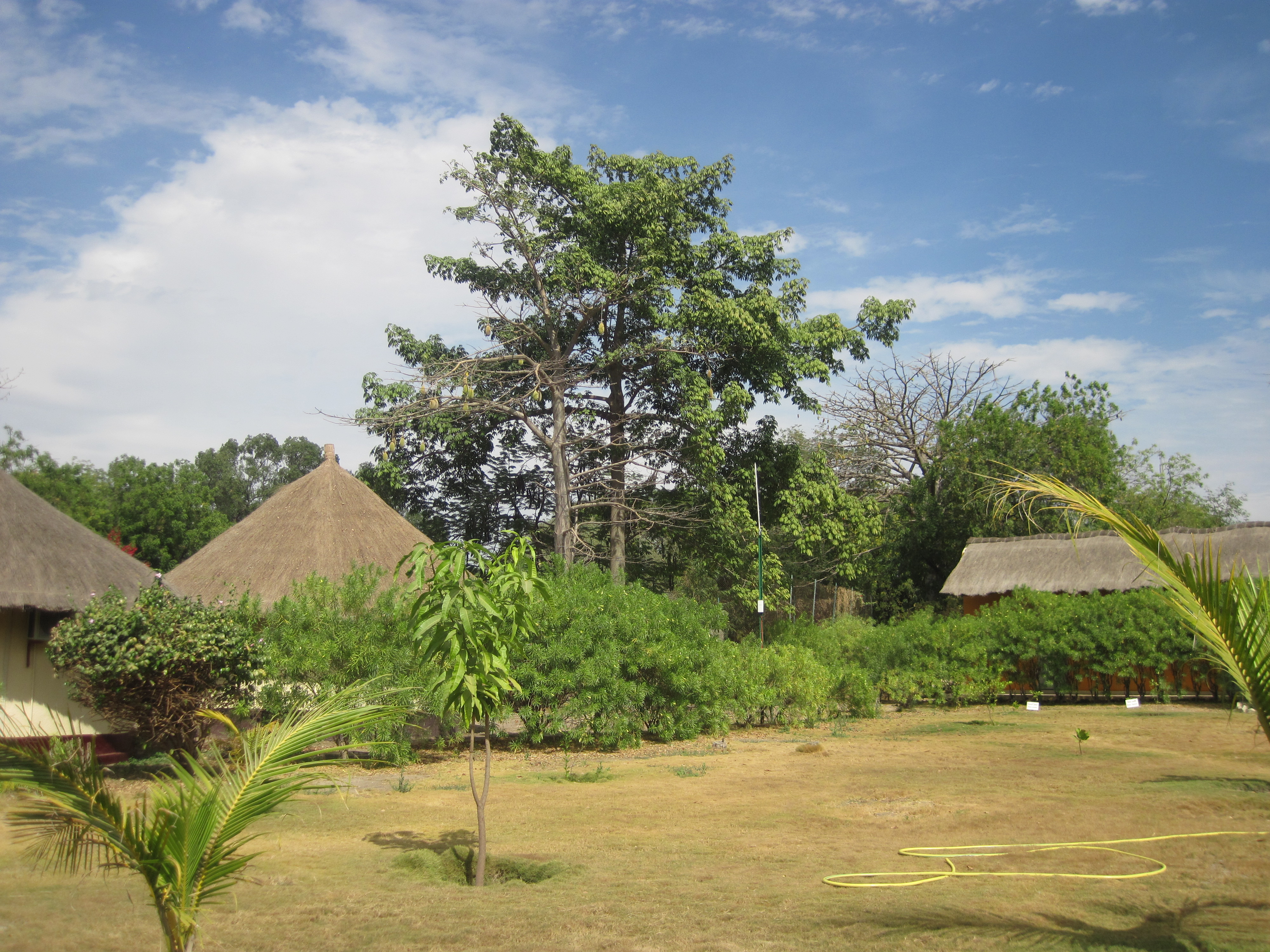 Toubacouta Keur Saloum