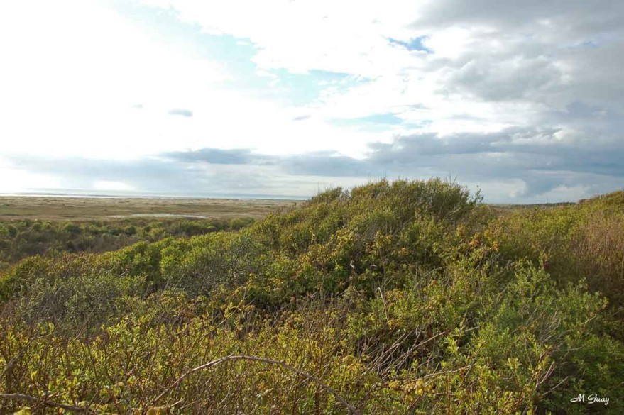 baie-de-somme-8573.jpg