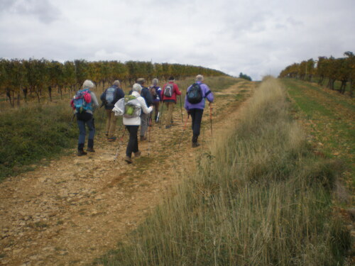 "Les Grands Vins de Bourgogne 1" - Samedi 17 octobre 2020