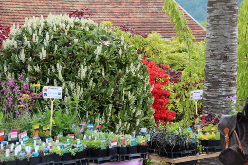 20èmes Journées des plantes au lac d'Aiguebelette