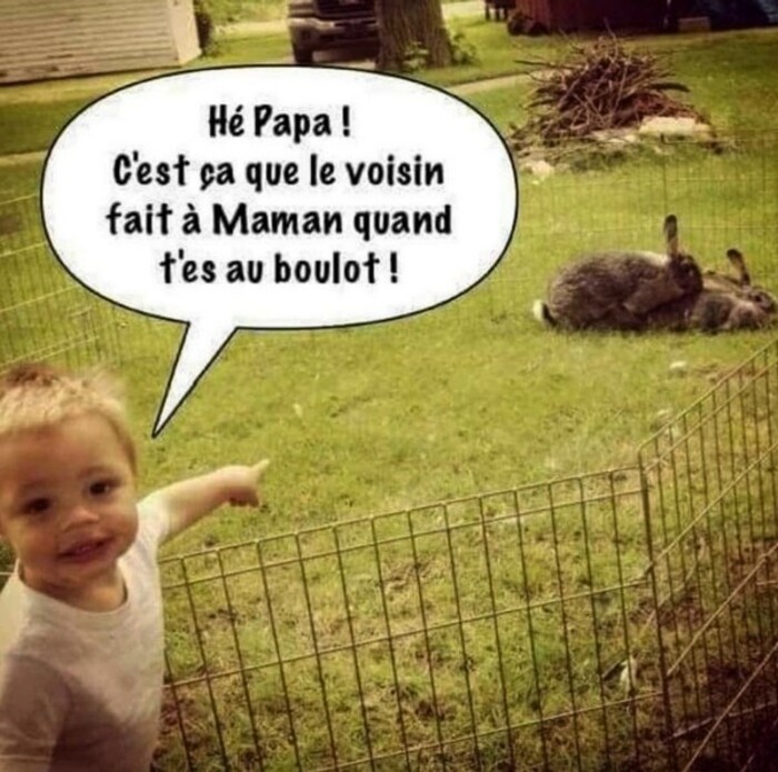 Allez, c'est l'week-end humour  ( 22 )