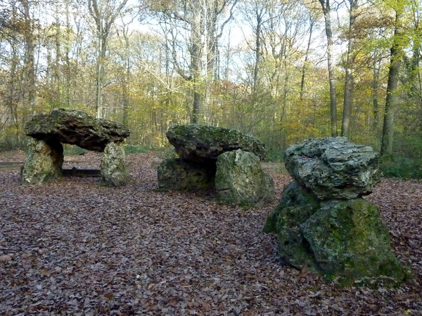 Les étangs et la forêt de Meudon à l'automne