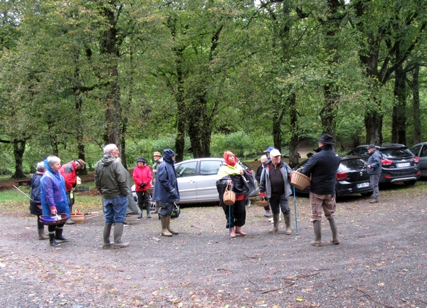 Les membres de la Société Mycologique du Châtillonnais ont effectué un  séjour dans les Vosges à la recherche d'espèces différentes de champignons....