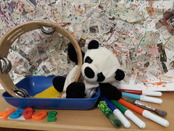 Panda en action dans son nouvel environnement