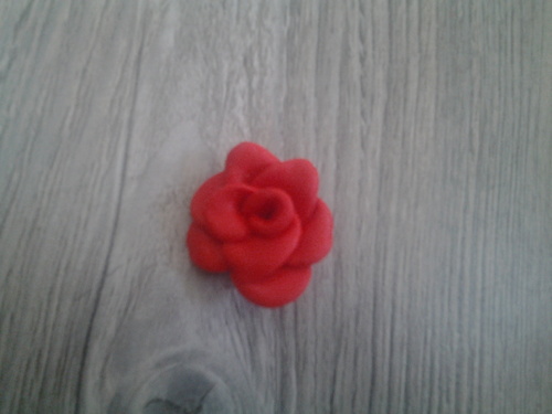 Rose colorée