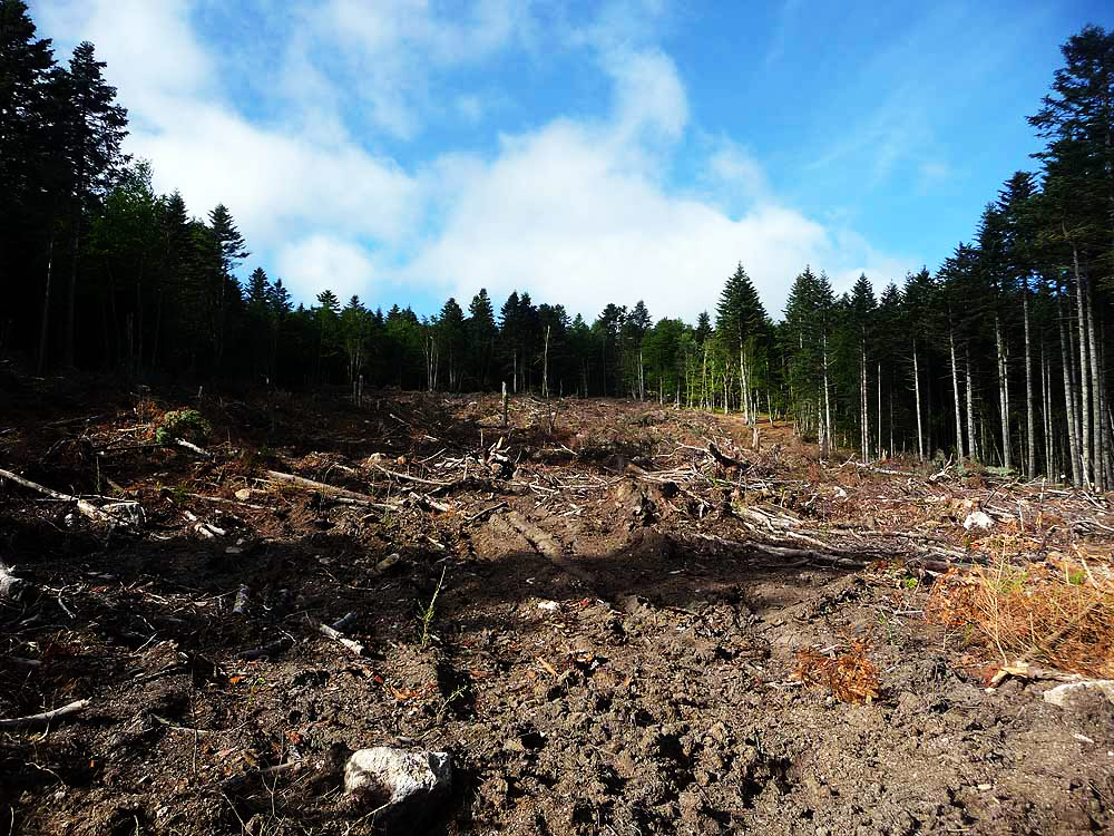 site de rencontre chabreloche