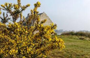                                                   ** JOUR DE SOLEIL EN BRETAGNE **