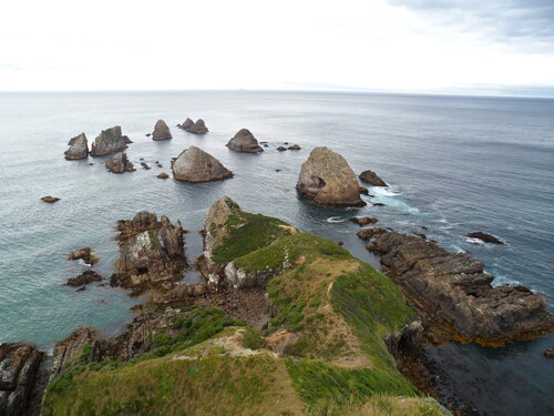 Fin des Catlins et les Fjordlands