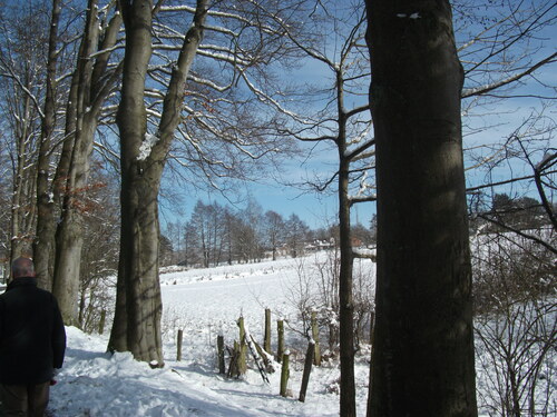 Promenade au lac