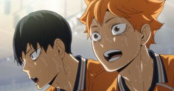 Avis Haikyuu