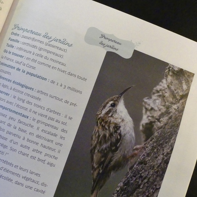 Toujours à propose d'oiseaux : le hors-série Rustica "les oiseaux de mon jardin"...