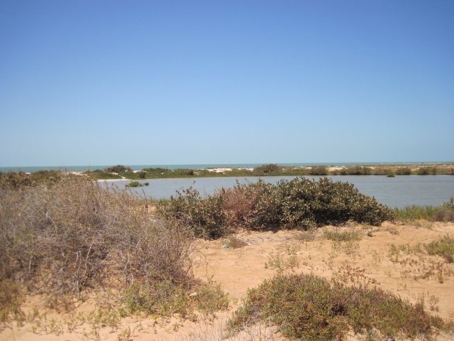 Mauritanie Banc d'Arguin