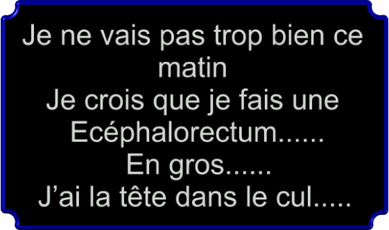 En gros (Humour)