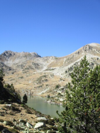 Famille : vallon d'Estibère (Néouvielle) - 65