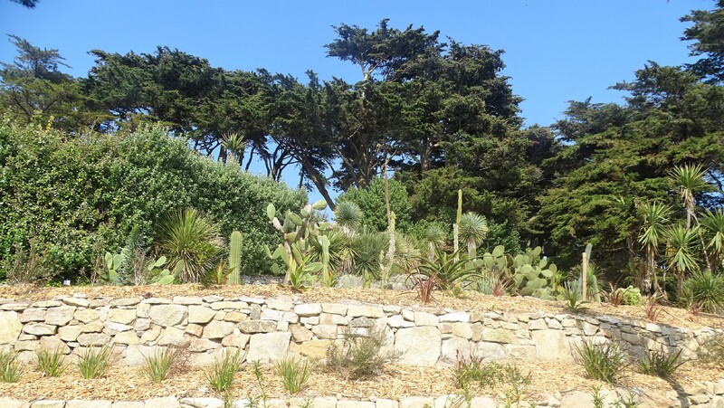 Une semaine à l'ile de Batz chez Zaza avec ma féline - Le jardin colonial - La cacteraie