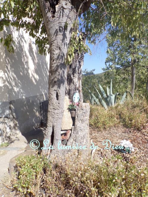 Rodès, église Sainte Marie de Domanova