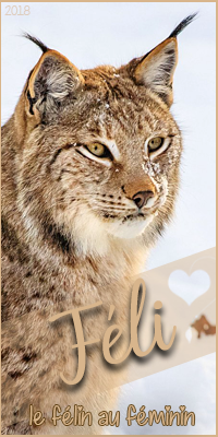 Féli13