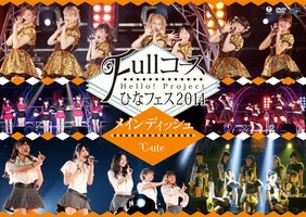 Couverture DVD "Hello! Project Hina Fest 2014 ~Full Course~"
