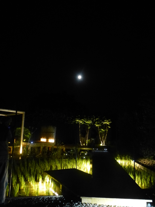 JARDINS DE CHAUMONT BY NIGHT .........