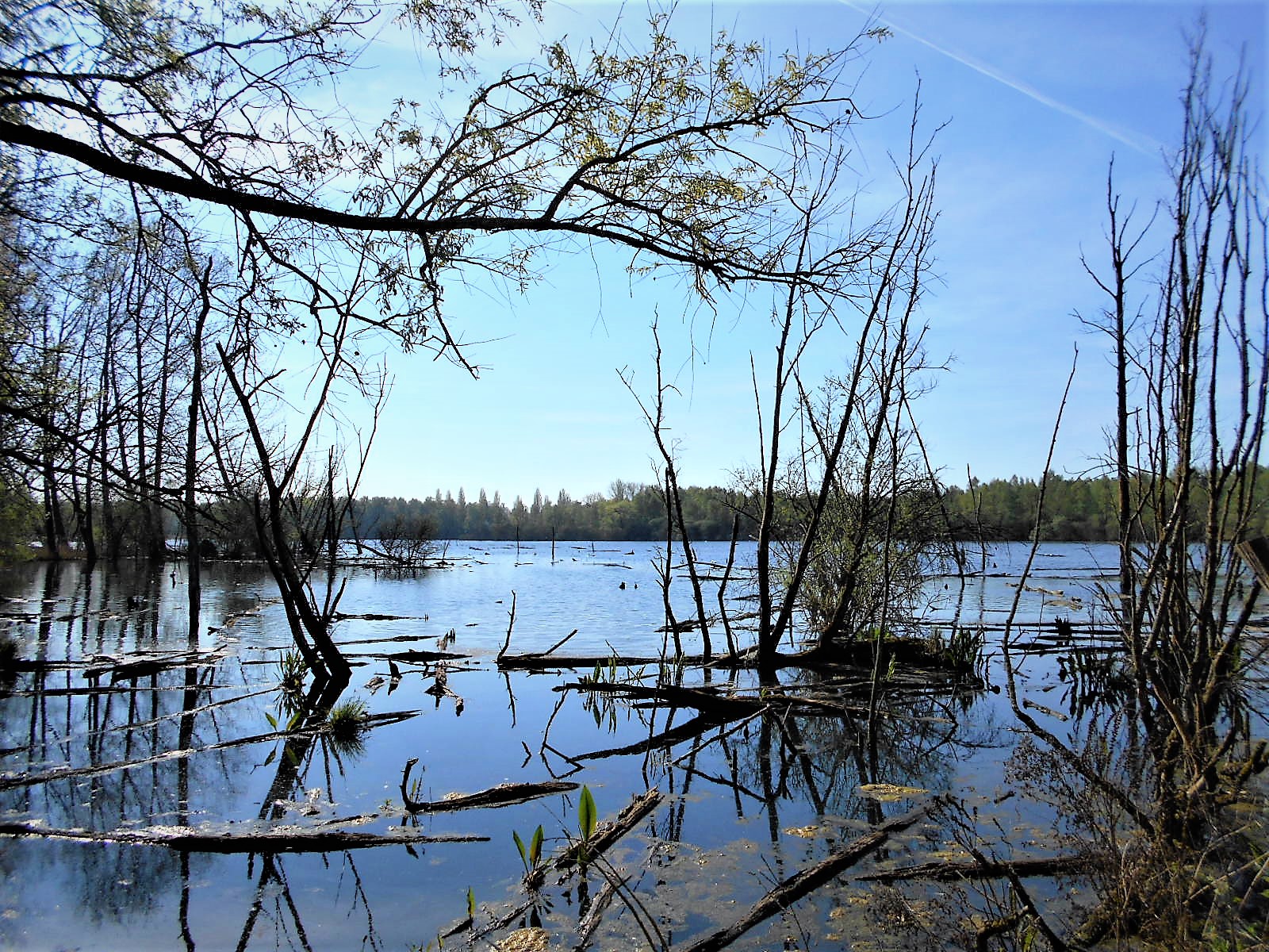 Les Marais D Harchies 19 04 18 Marche Nordique Christian