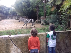 Zoo d'Asson