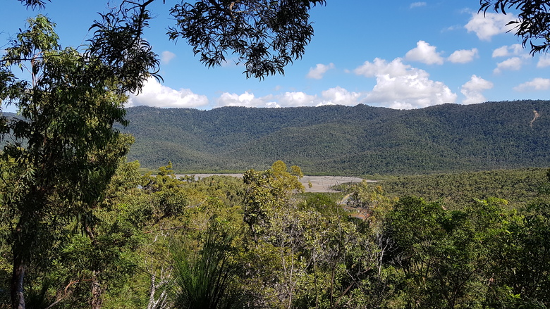 27 Juillet 2019 - Airlie Beach - Rando Swamp Bay