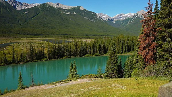 Jour 17 Banff rivière Bow