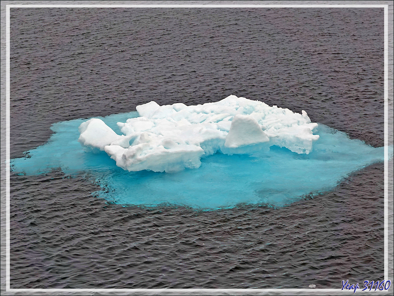 10/07/2024 après-midi : navigation dans la zone des Sjuøyane (Sept îles) à la recherche d'un peu de banquise - Svalbard - Norvège